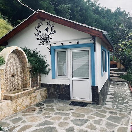 Cozy Home In Ardino ภายนอก รูปภาพ